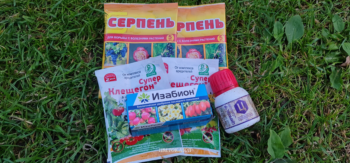 Розы быстро зацветут и не заболеют. Супер коктейль 4 в 1 для обработки ...