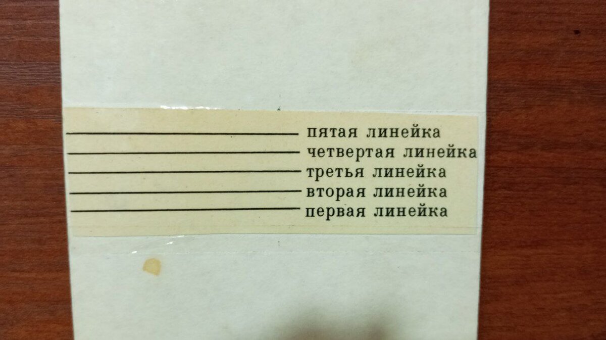 Учимся читать ноты без мучений, просто играя с карточками | Музыкальное  образование для всех | Дзен