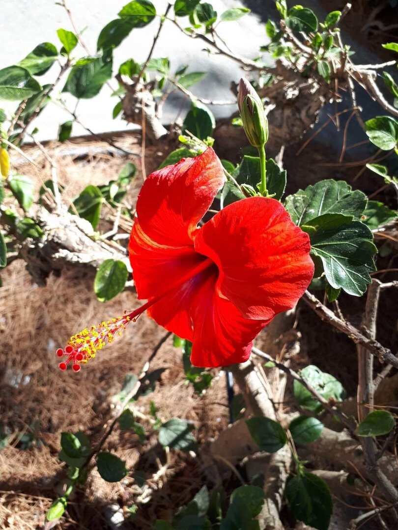 Греческая жемчужина: прекрасный Кос! Открываем для себя "новую Грецию ...