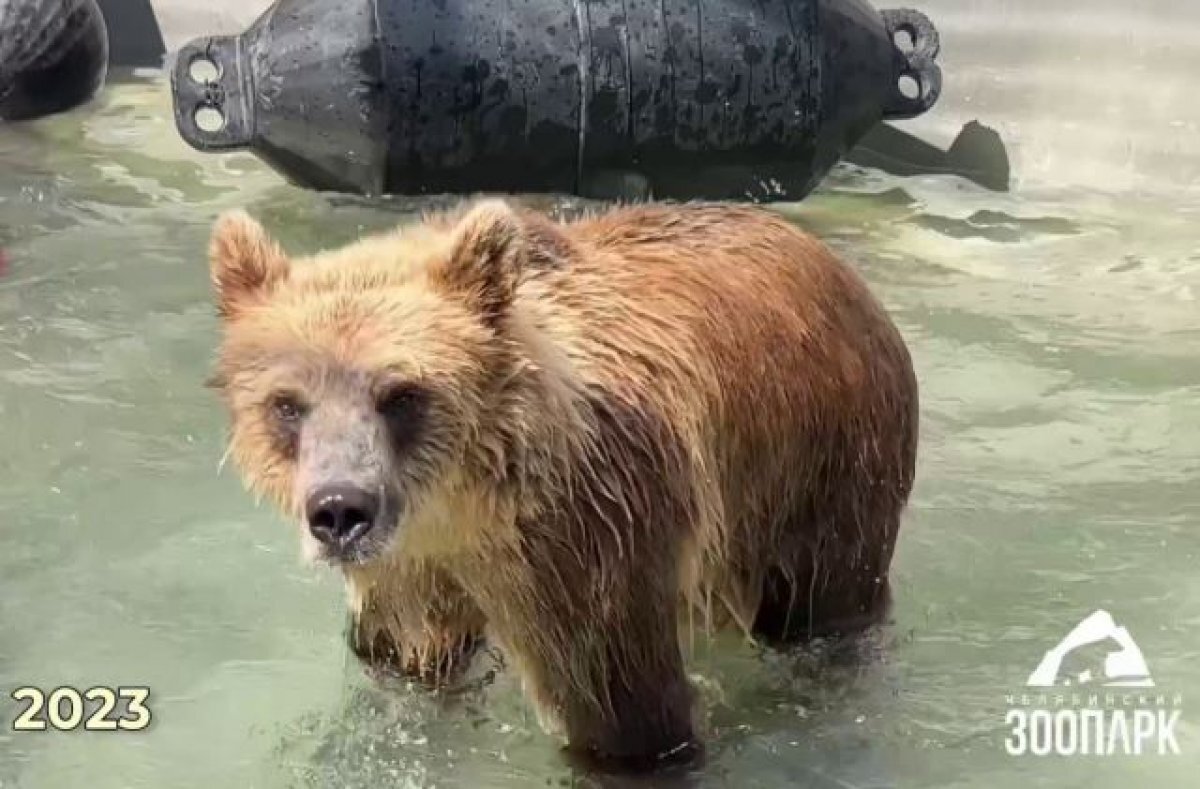    Боролись целый год.