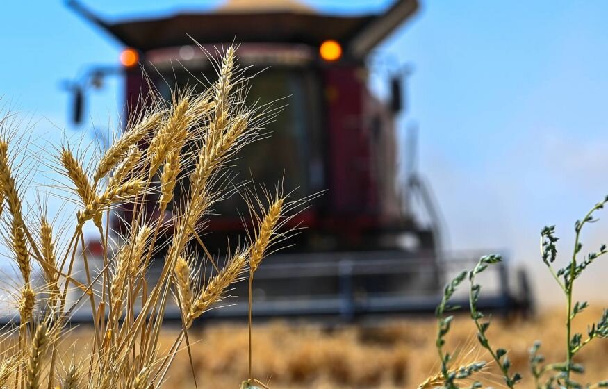    Делегация из России покидает координационный центр по зерновой сделке в Турции