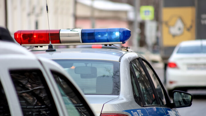 ФОТО: ELENA MAYOROVA/GLOBALLOOKPRESS