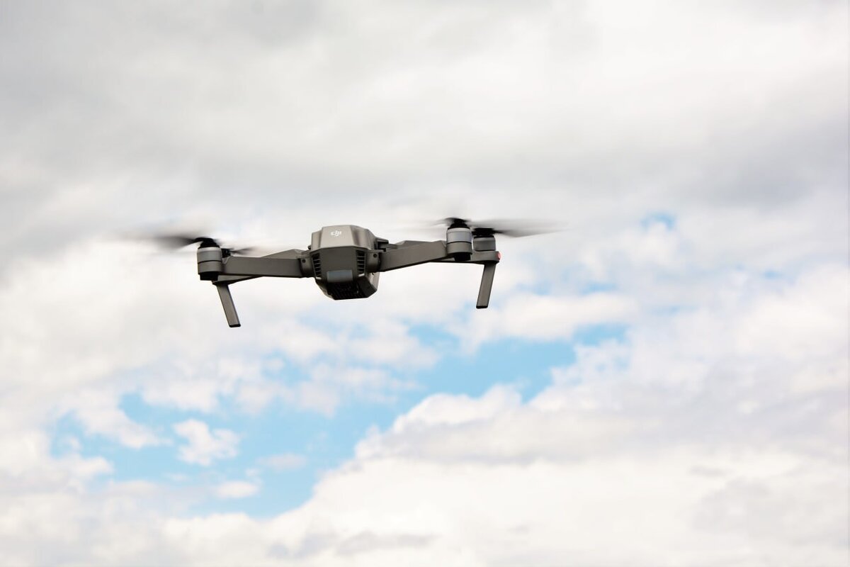 Фото: Гала Амарандо