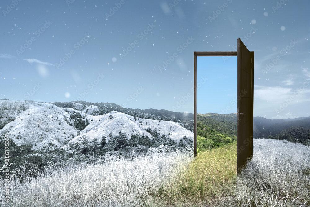 Источник: https://stock.adobe.com