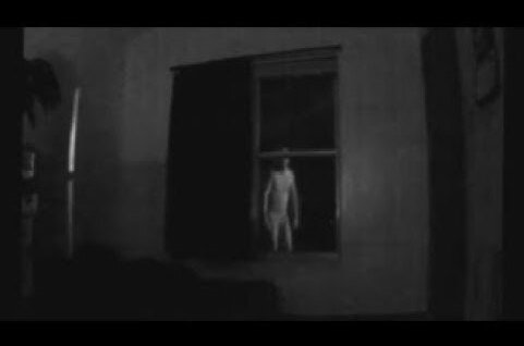 Из свободного доступа в интернет 