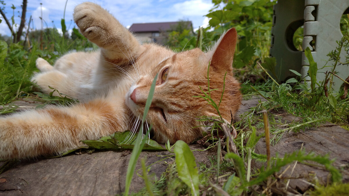 Личное  фото