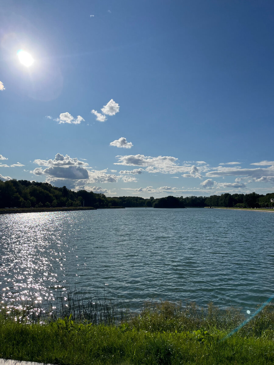 Фото автора. Большой пруд.