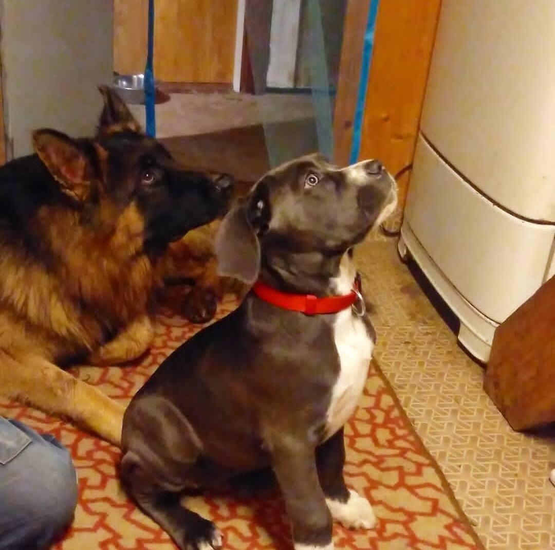 Первый вечер дома