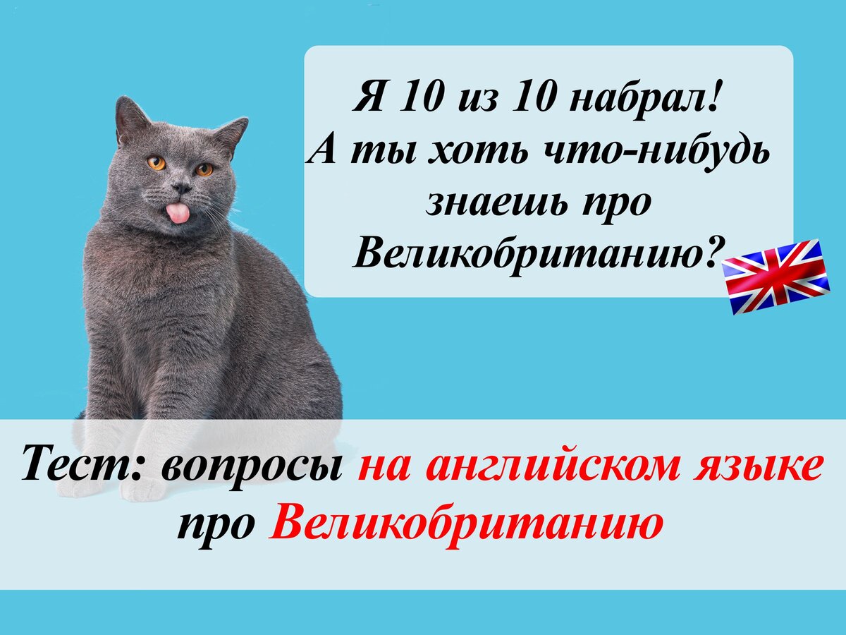 Тест: вопросы на английском языке про Великобританию | English Cats | Дзен