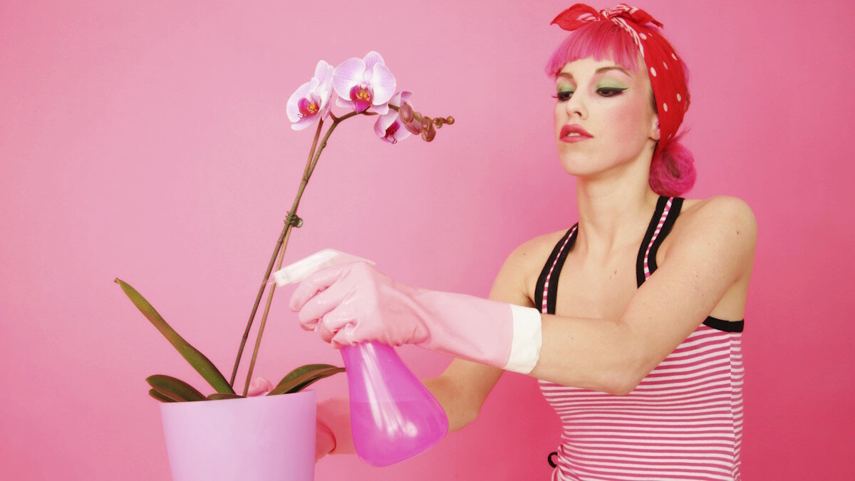    В каких случаях следует дарить цветы в горшочках