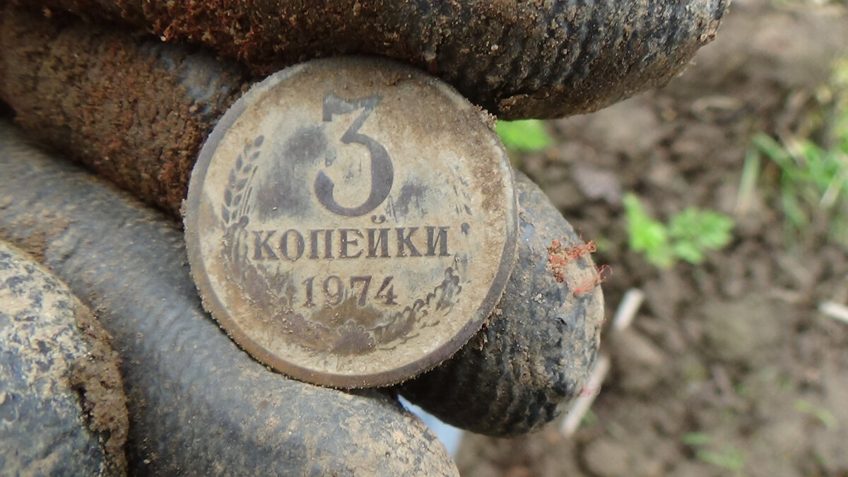 Проклятая деревня читать. Проклятая деревня читать. Ночной лес россия жуть. Skinwalker hunt игра. Проклятвт деревня страшилкау.