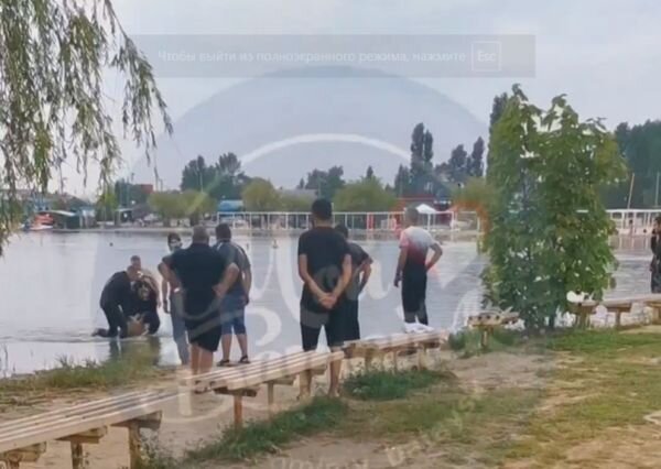 Источник фото: Ростов-Главный/Vk.com