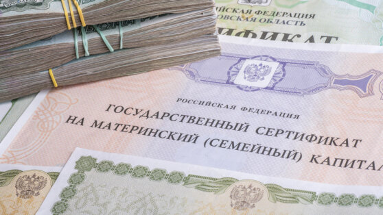    ГД приняла во II чтении законопроект о праве отцов в РФ направлять маткапитал на пенсию Ксения Пудовкина