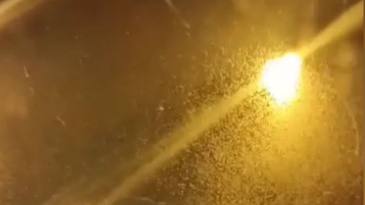 Фото: кадр из видео