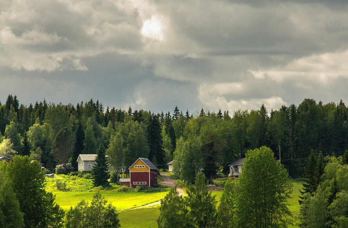 Photo by Joakim Honkasalo on Unsplash