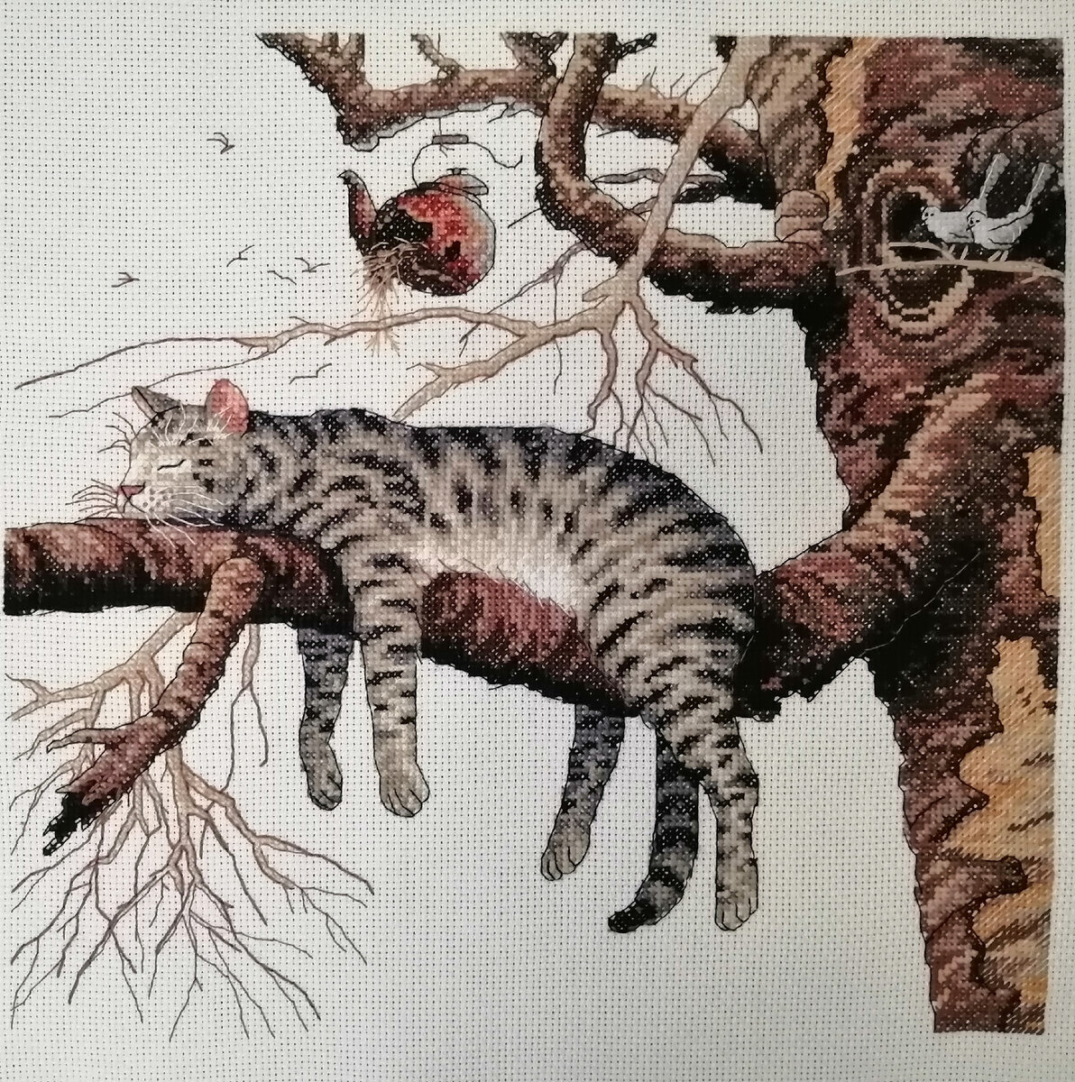 Финиш! Уставший котик готов! 