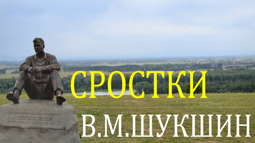 Вторая волна. В Алтайском крае продолжается паводок: в Катуни уровень воды поднялся до критического