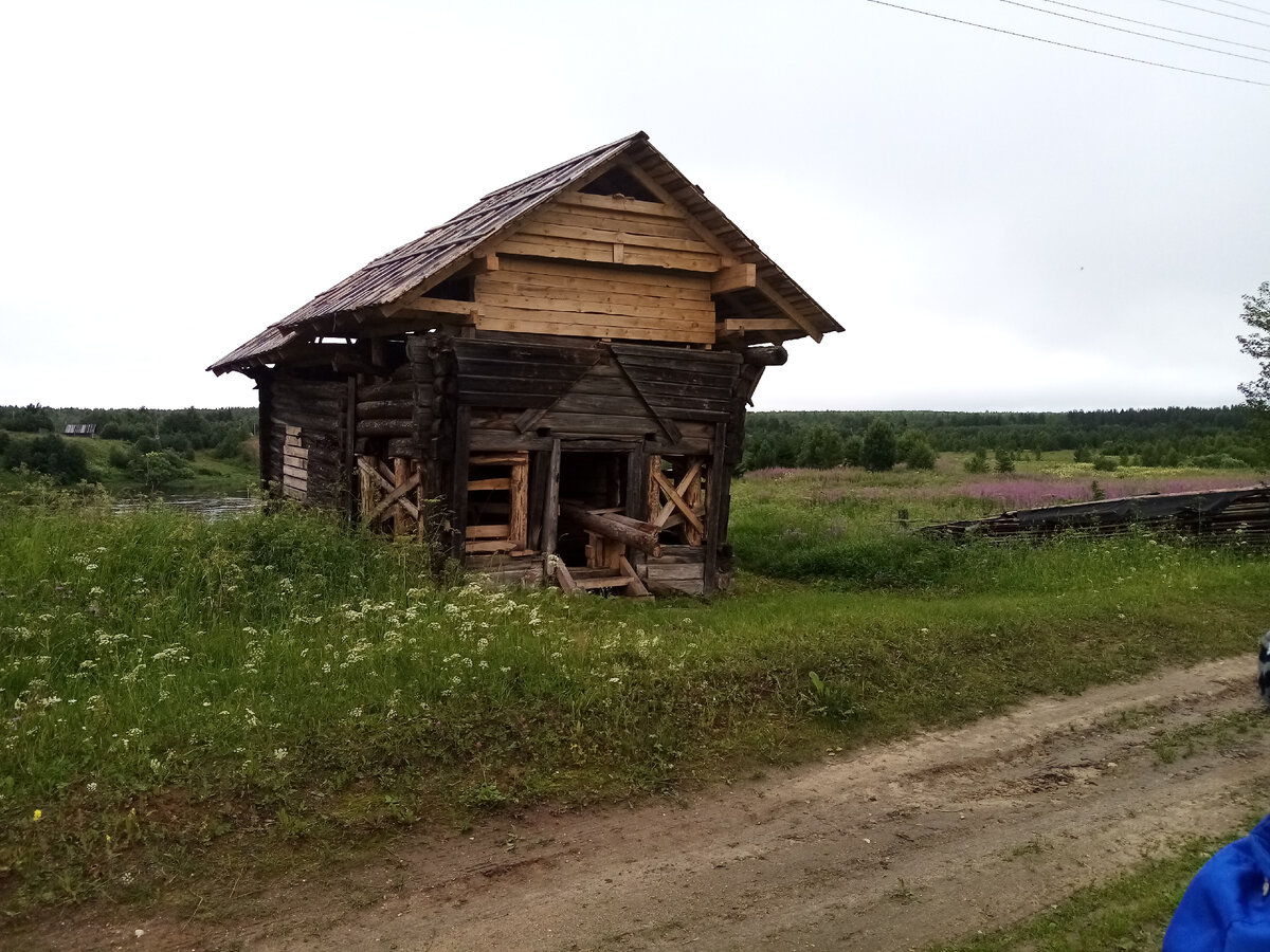 ДНЕВНИЧОК СЕВЕРНОЙ ПРИРОДЫ Страх сковал руки. Они вцепились в холодное  железо бортов. Черная поглощающая вода так близко. (Часть 21) | Принцесса  Андромеды | Дзен