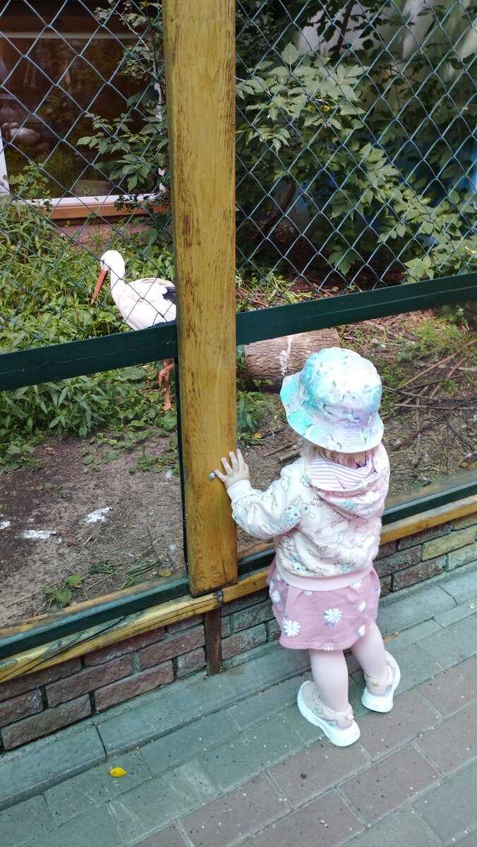 Аист или просто "тика".