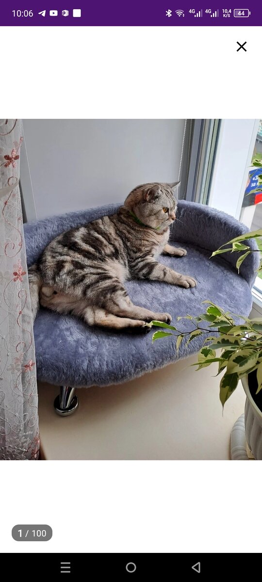 Диван для Кузи