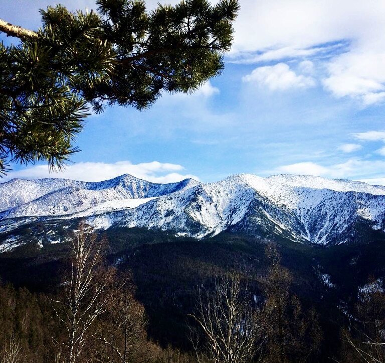 Горный хребет Борус (Западный Саян).