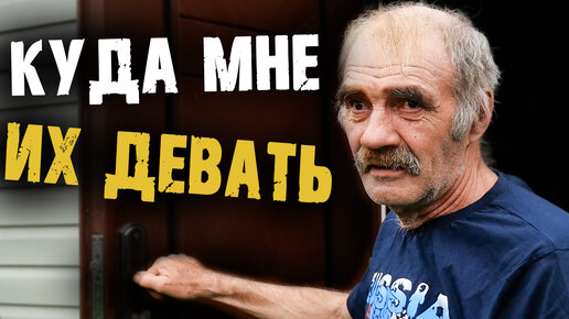 ОНА ПЕРЕСТАЛА КУШАТЬ // КУДА СЕРГЕЙ ДЕЛ ЩЕНЯТ ?