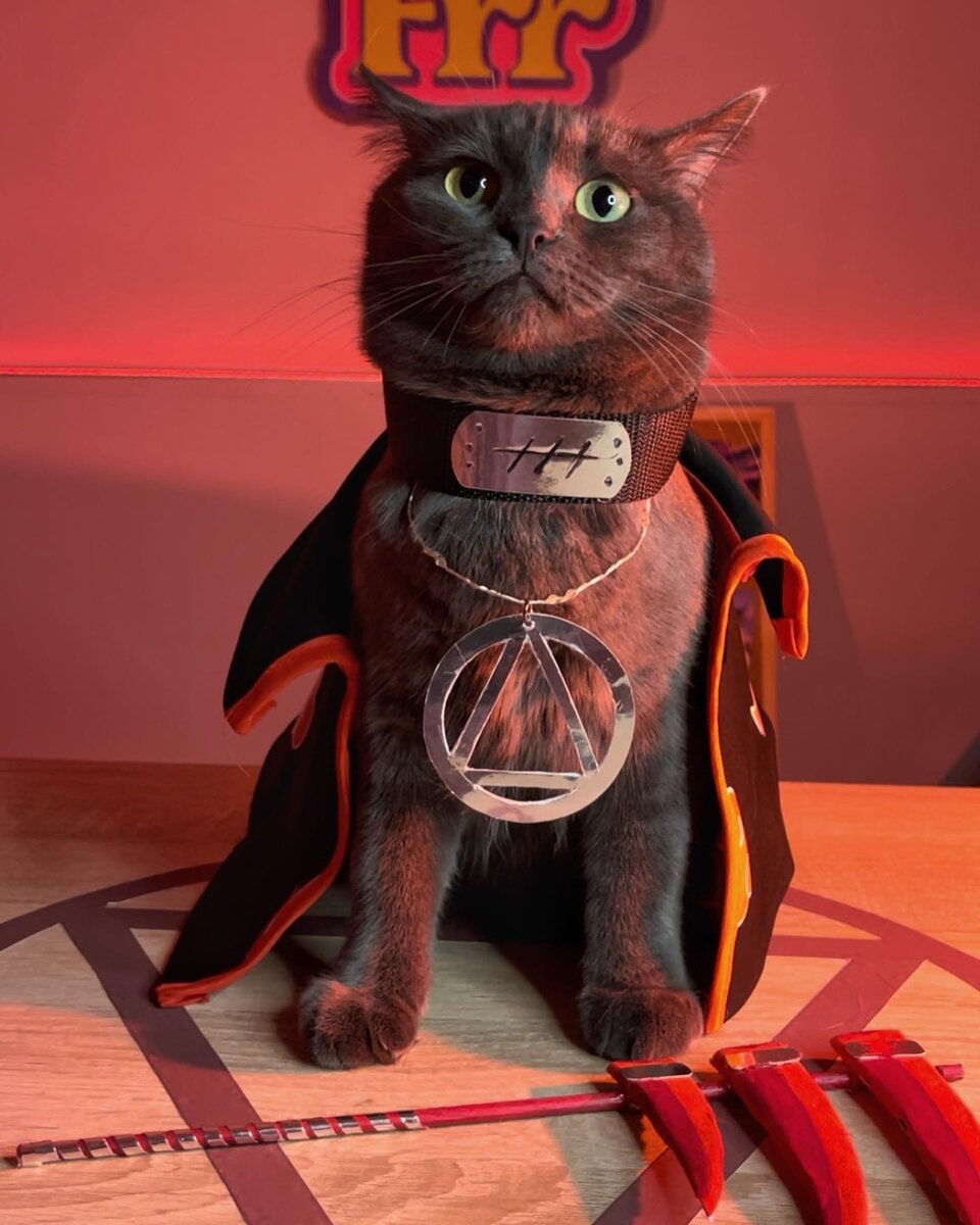 Сами знаете кто из FrrFrr House