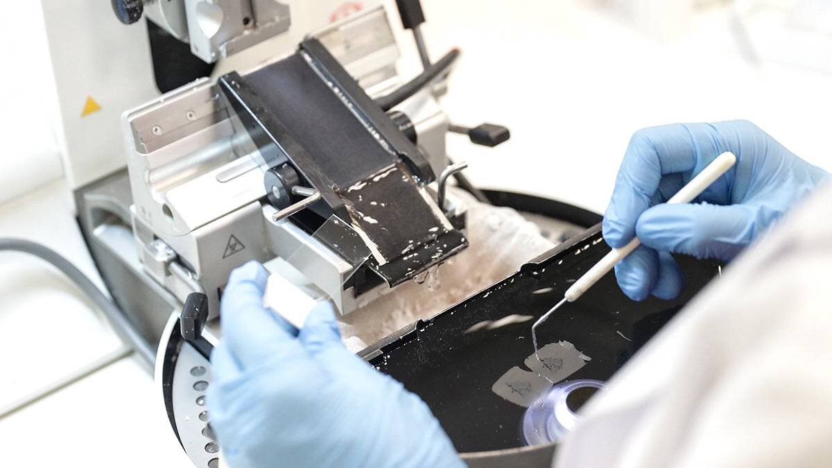    Фото: Пресс-служба Госдумы