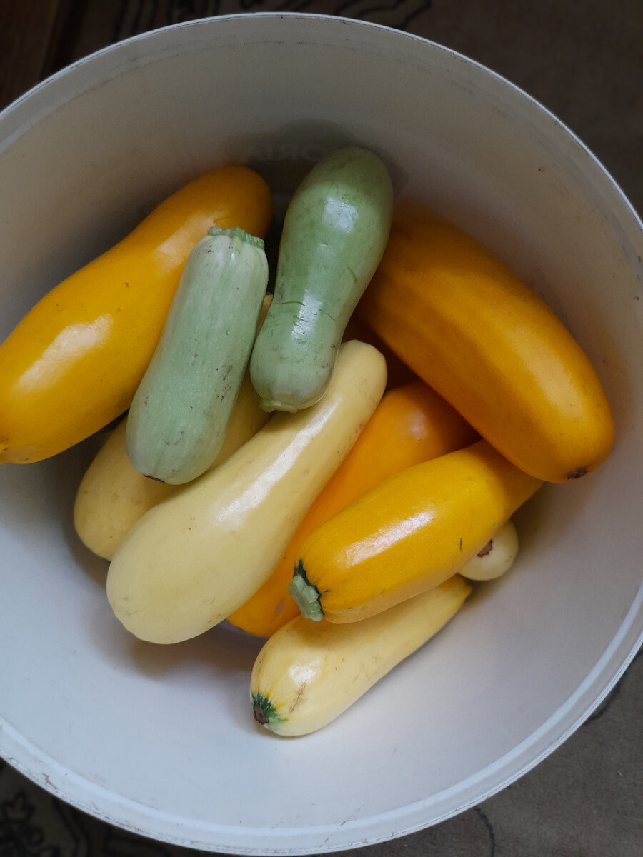 Кабачки с моего огорода визуально радуют. Если бы они еще и сами в кабачковую икру превращались!..