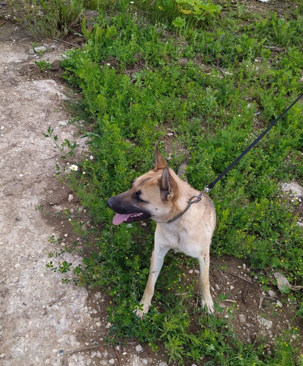 Фото Можайского приюта