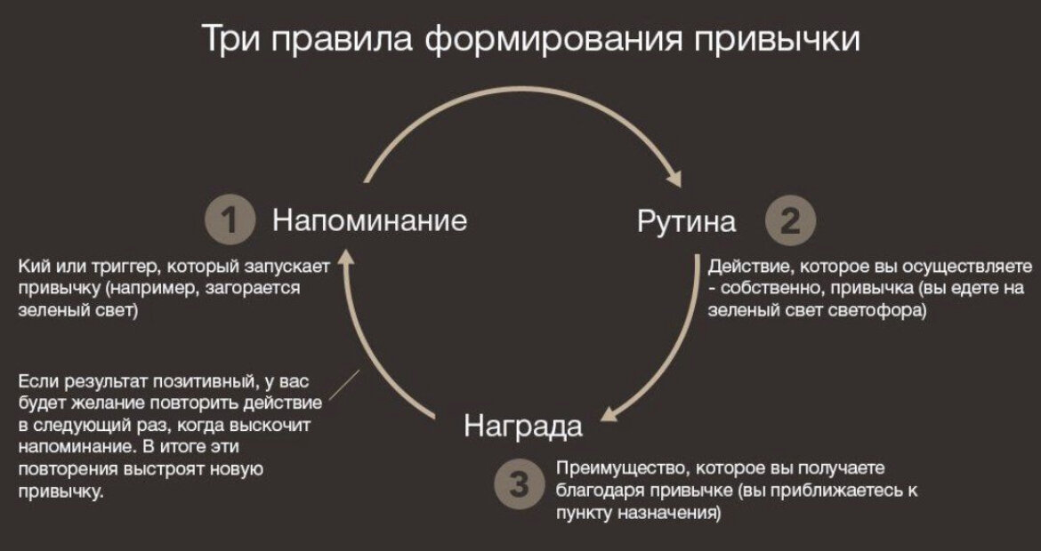 Этапы формирования привычки