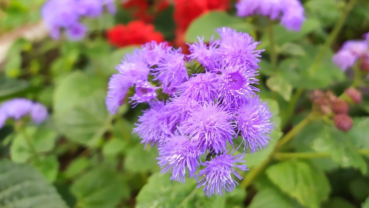     Граждане будут примерять круглые очки, из веточки бузины стругать волшебную палочку, после чего будут изо всей силы ею размахивать и громко говорить волшебные заклинания. Для каждого найдется свое очередное воплощение лорда Волдеморта. Сегодня день рождения Гарри Поттера.