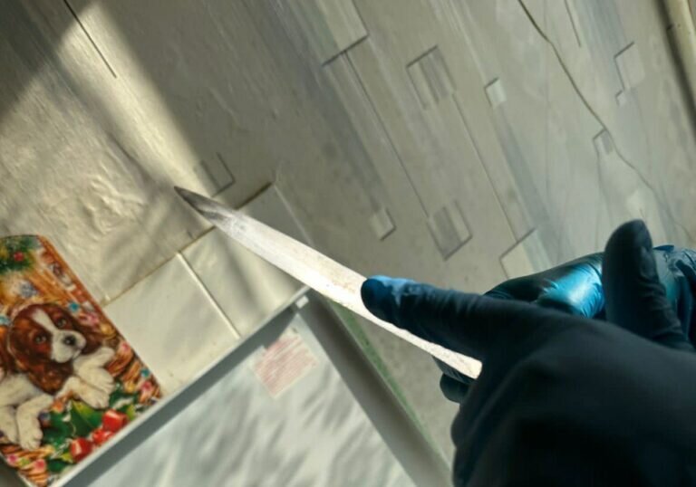    Орчанина задержали за убийство 52-летнего жителя Красноярского края Кристина Просвиркина