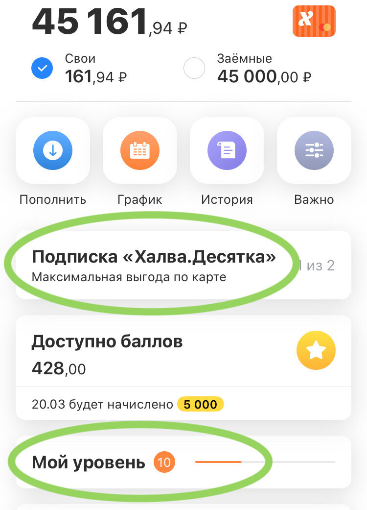 Так выглядит мобильное приложение. Баллы = Рубли.