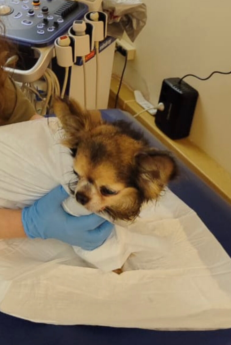 Добавьте описание