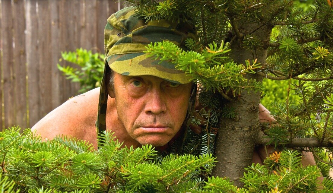  Так вот ты какой  - "Кустарник"! -растуды иво в качель.  фото: картинки  яндекса. 