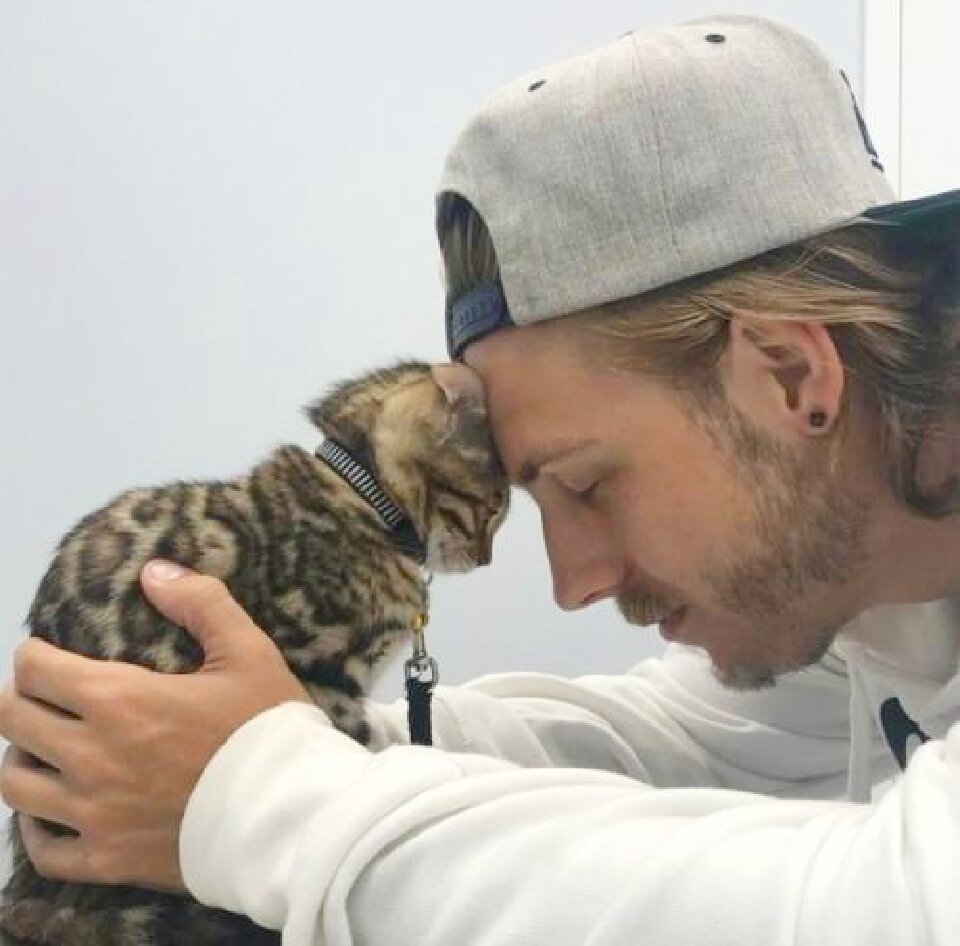 Twenty pets. Фелинотерапия. Счастливый человек с котом. Трогательные котики фото. Мужчина дирижирует котом.