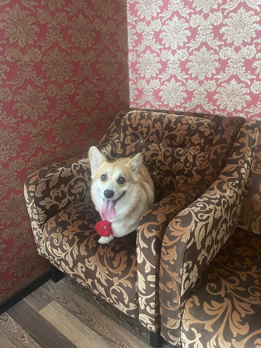 Дорохо-бохато 😂