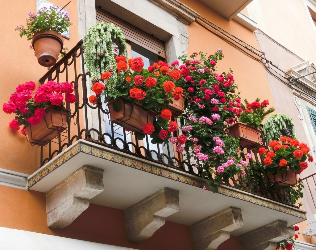 Казалось бы, что плохого в том, что на балконах цветут цветы? Ведь ничего же. Это красиво, создает особую атмосферу.