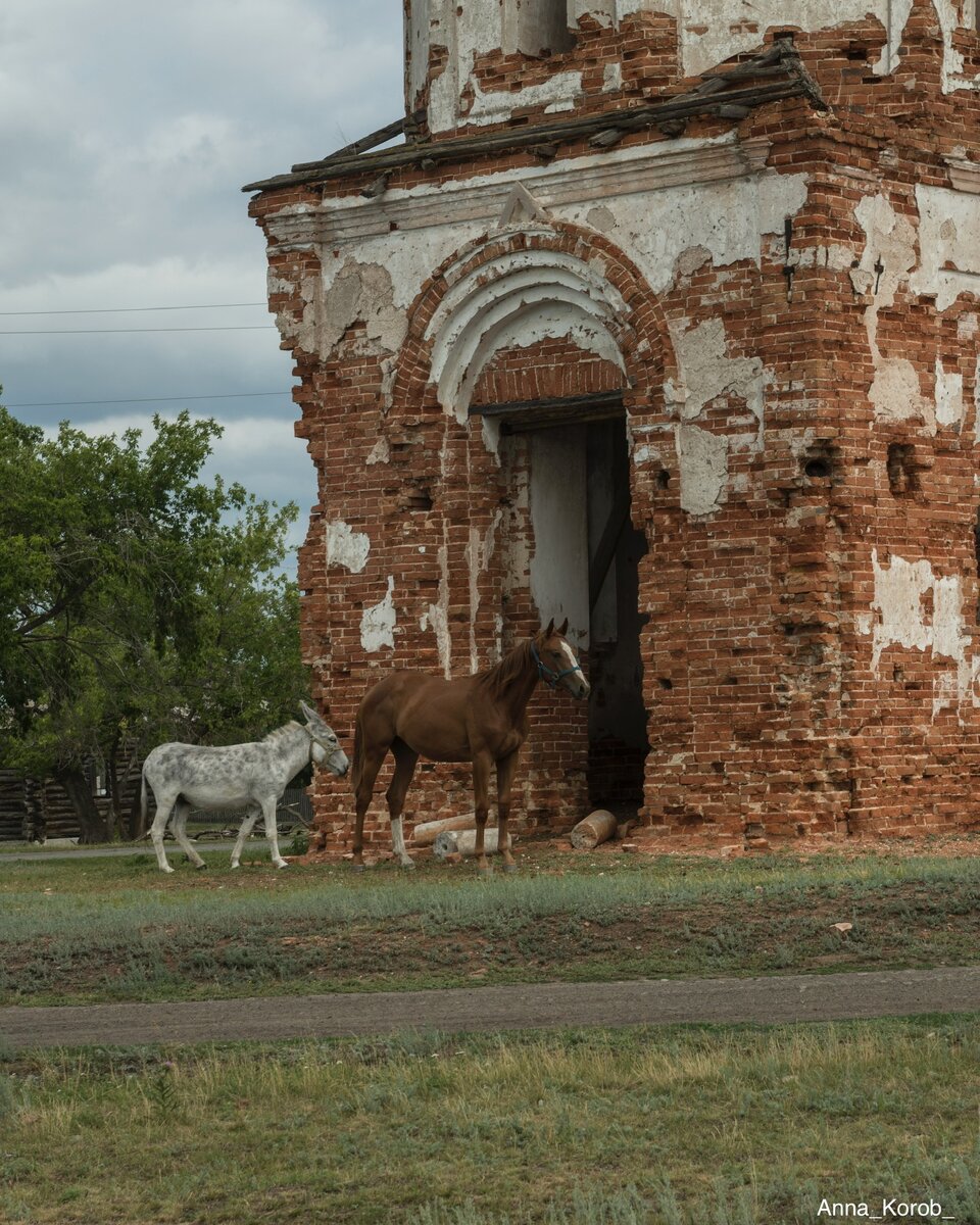 Село остров Ярославской области храм