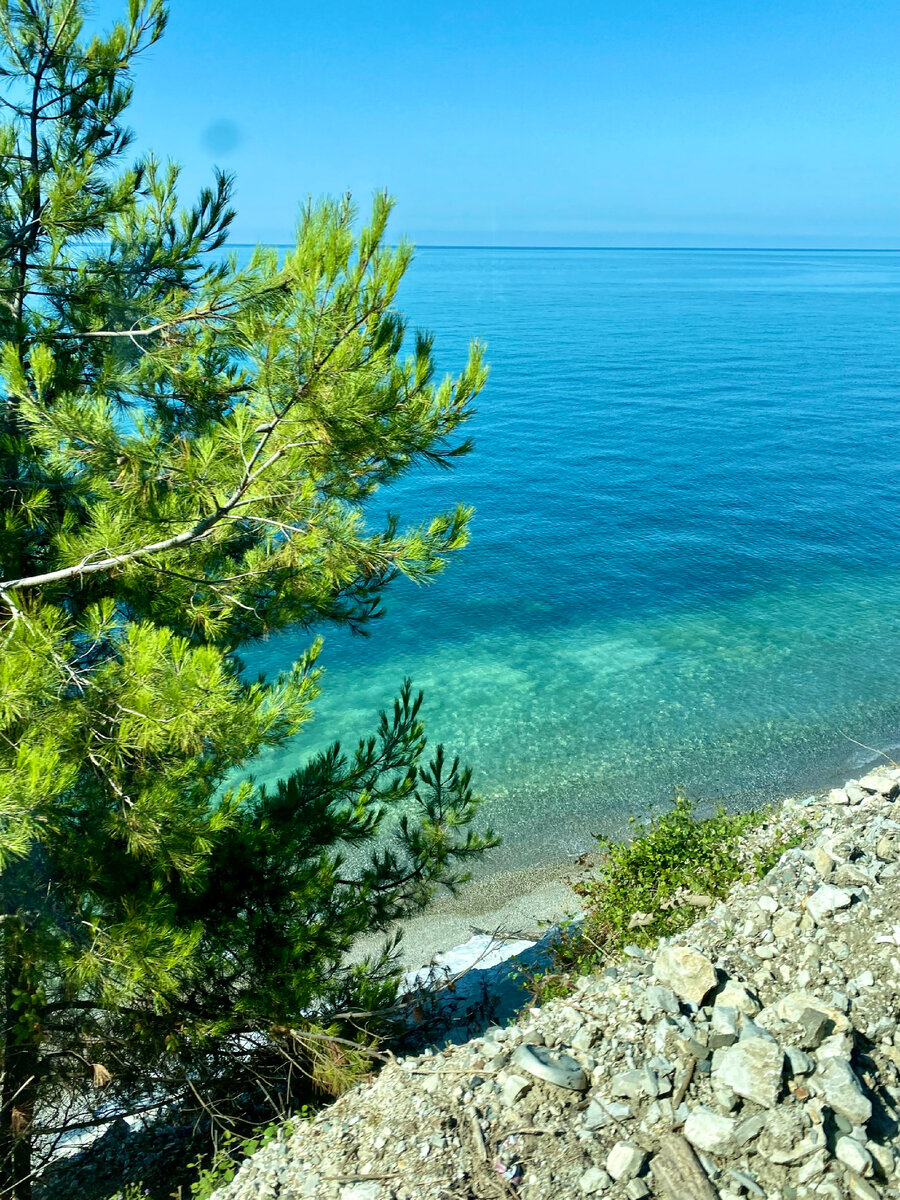 Погода в гагре абхазия на 14 дней. Абхазия Гагры чёрное море подводный мир фото. Погода в Гаграх. Красивые аватарки с Абхазии.