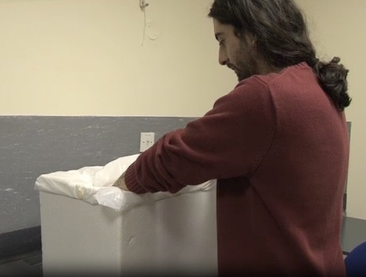 Участник эксперимента держит руки в воде, пока не появятся морщины на подушечках пальцев