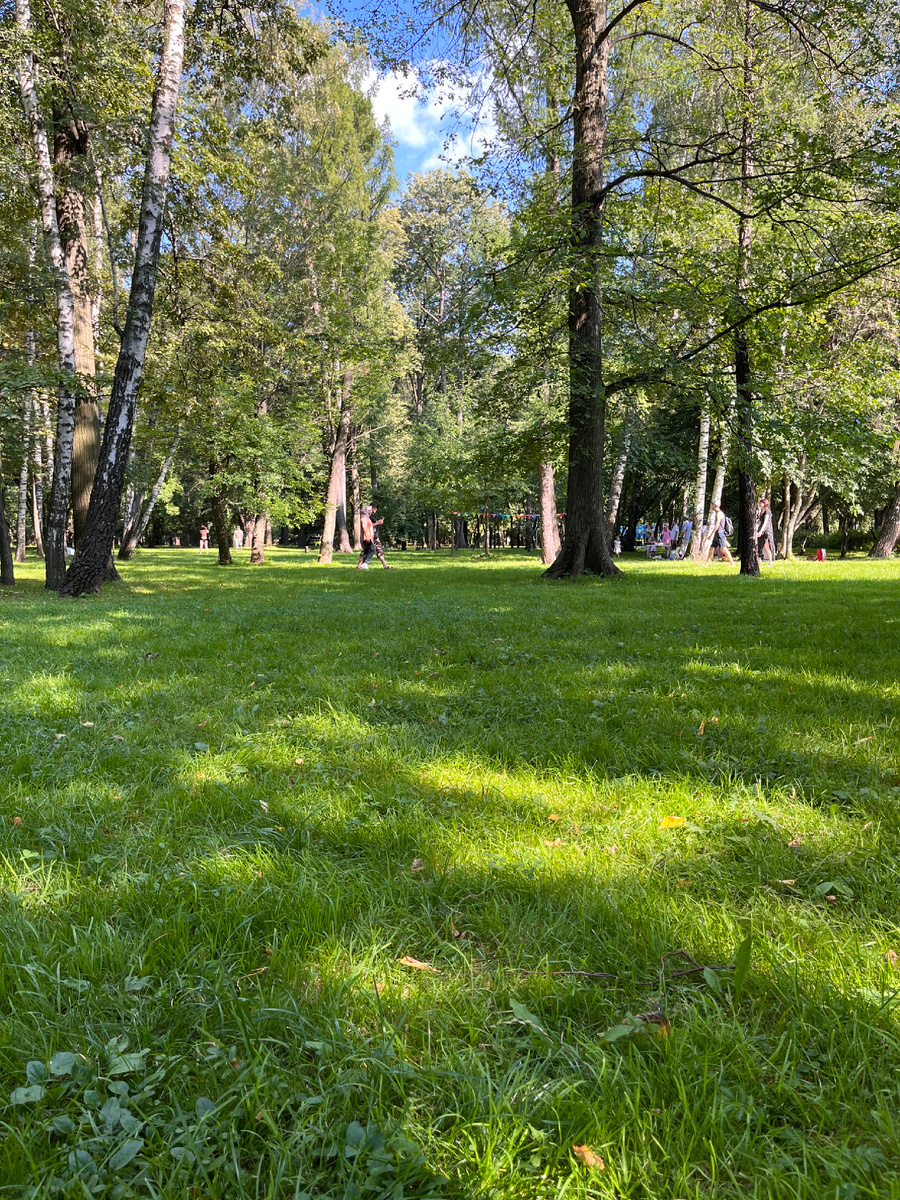 Гармония наше всё. 