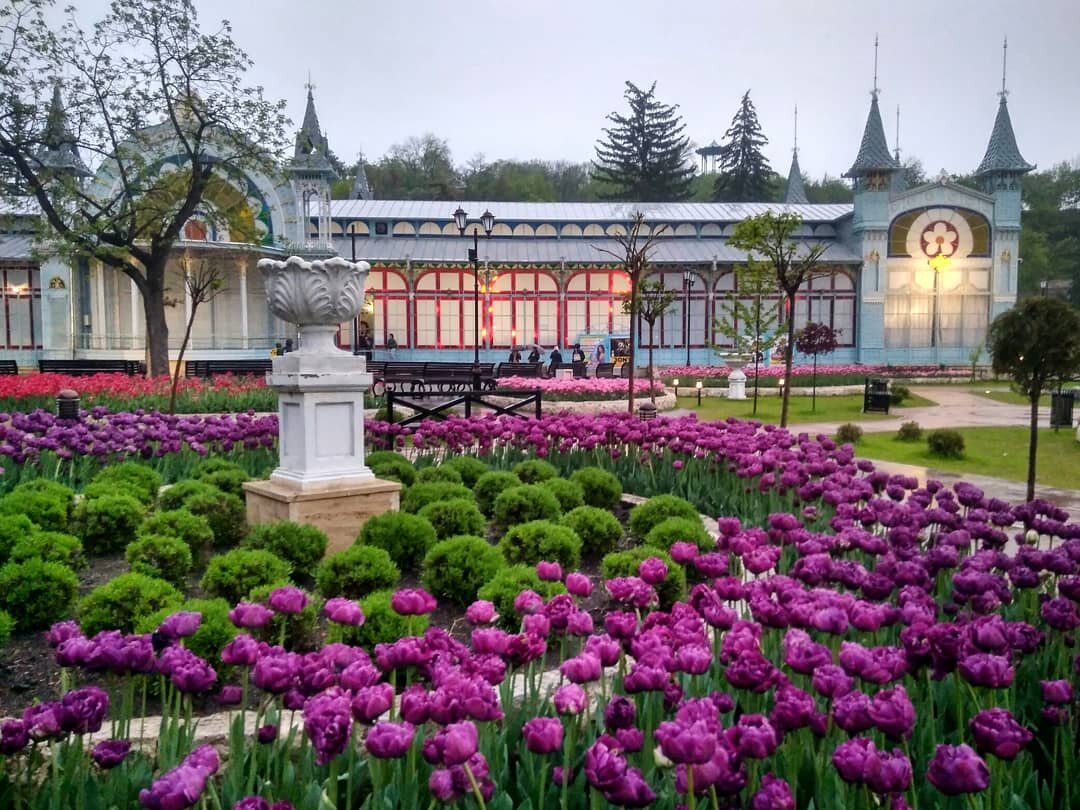 2022 год. Цветение тюльпанов: каждый апрель это событие притягивает внимание туристов и местных жителей, которые специально приходят фотографироваться среди красоты. Вместо старых деревьев медленно, но верно растут новые саженцы, в том числе три деревца магнолии, которым здорово "достаётся" в период цветения. А вот пальмы, высаженные во время реконструкции, не прижились (фото автора)