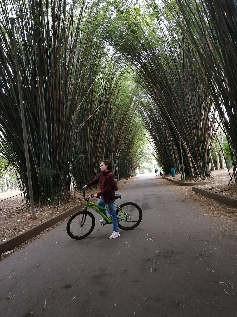 14.08.23 в Сан-Пауло 