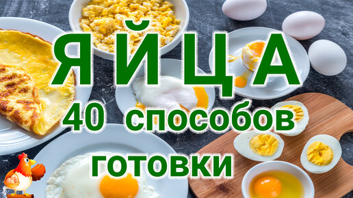 Яйца – 😂🥚🥚🥚 40 способов готовки, о которых мало кто знает