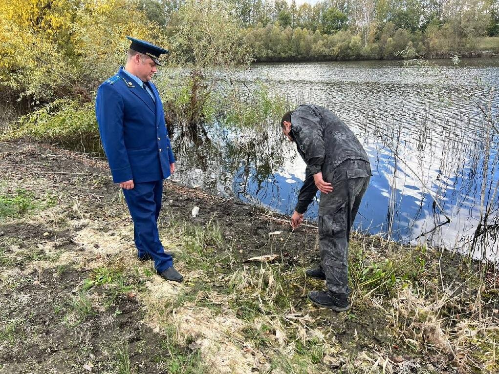 Прокуратура проводит проверку информации о массовой гибели рыбы