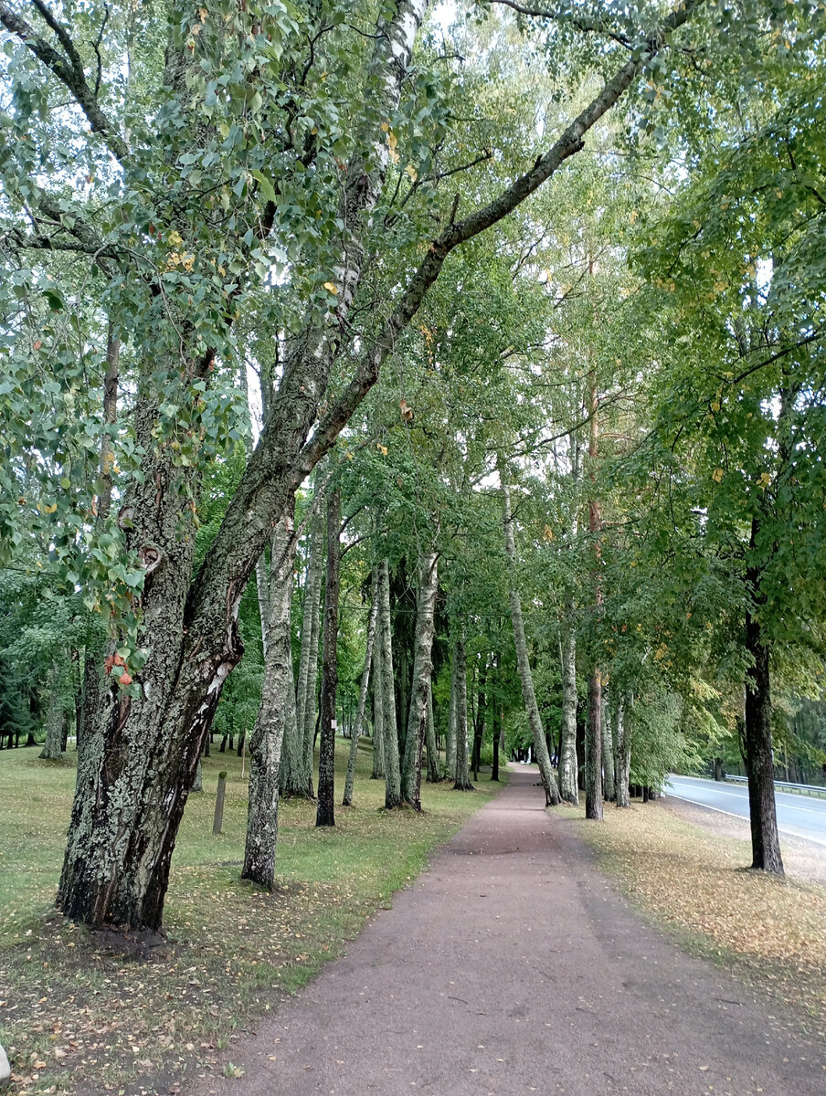 Зеленогорск 2. | Санкт-Петербург, Ленинградская область, Карелия. | Дзен