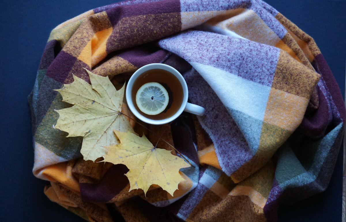 Клечатый шерстяной шарф