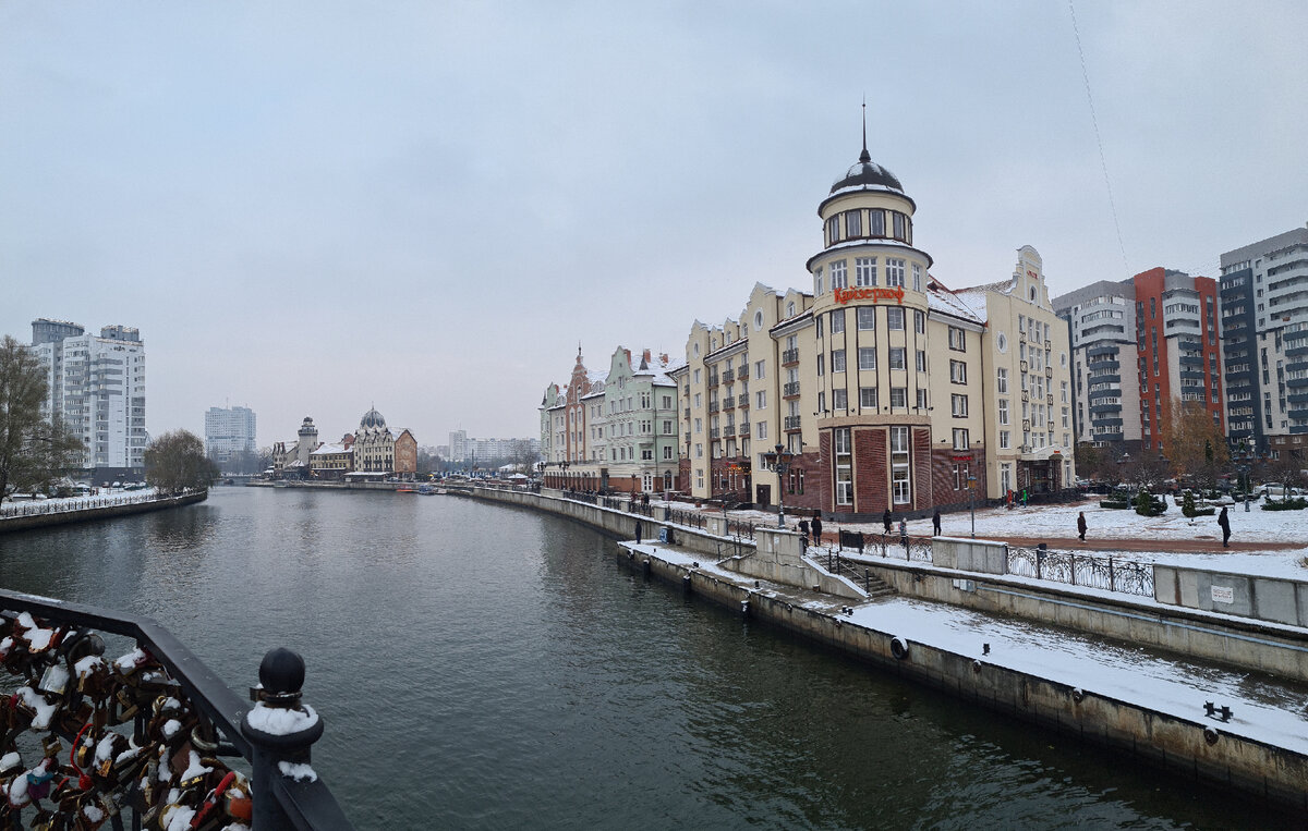 Калининград в ноябре фото Калининград в НОЯБРЕ. Архитектура, зоопарк, тыквы. Katelyn_ok Дзен